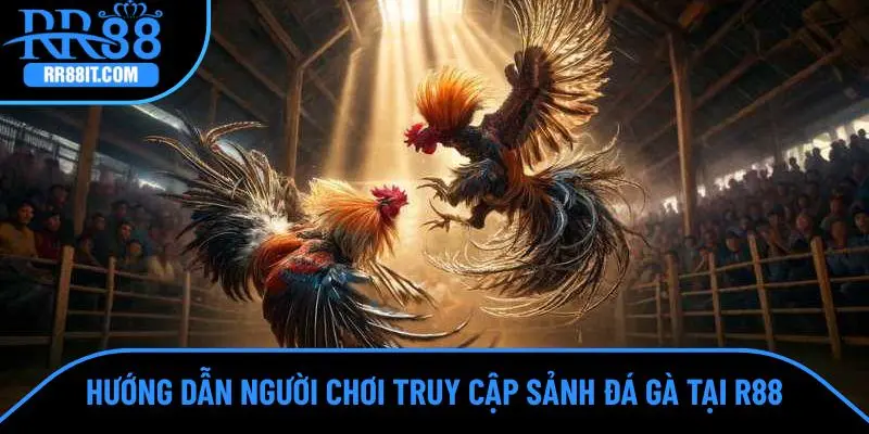 Hướng dẫn người chơi truy cập sảnh đá gà tại R88